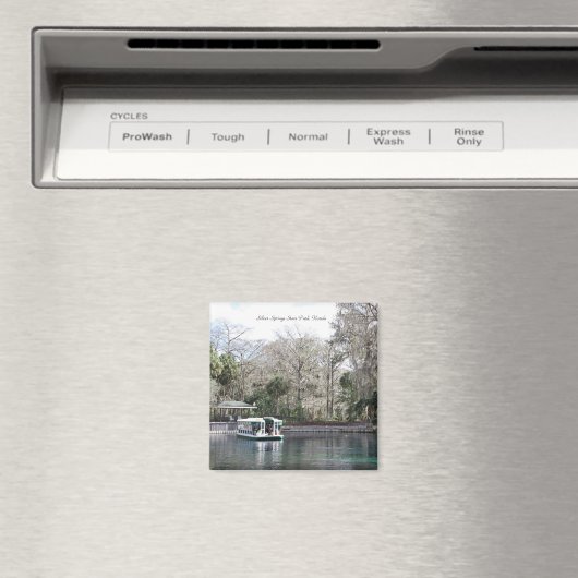 Aimant Argent Springs, Floride, Bateau fond de verre (In Situ (Lave-vaisselle))