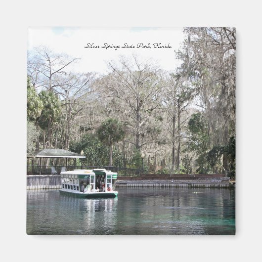 Aimant Argent Springs, Floride, Bateau fond de verre (Devant)