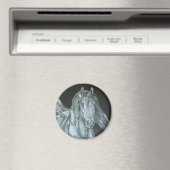 Aimant Argentée (In Situ (Lave-vaisselle))