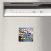 Aimant argentin (In Situ (Lave-vaisselle))