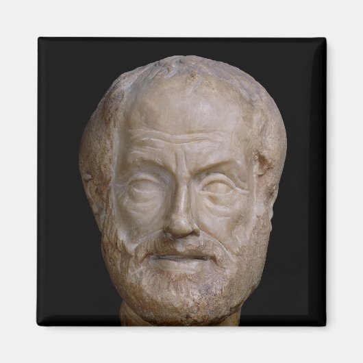 Aimant Aristote copie romaine d'un original grec (Devant)