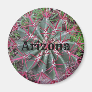 Aimant Arizona Cactus Photo Red Barrel Desert Plante