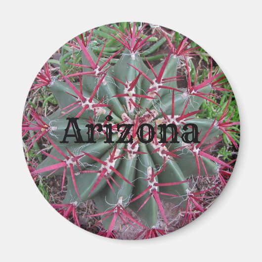 Aimant Arizona Cactus Photo Red Barrel Desert Plante (Devant)