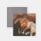 Aimant Arizona Chevaux sauvages (Recto/Verso)