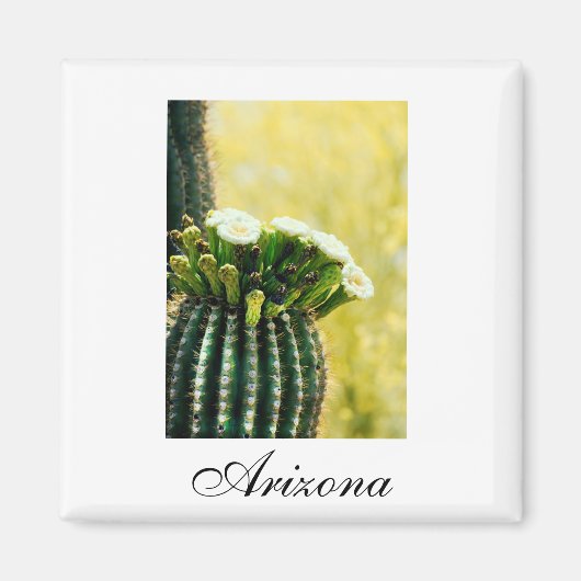 Aimant Arizona saguaro fleurit (Devant)
