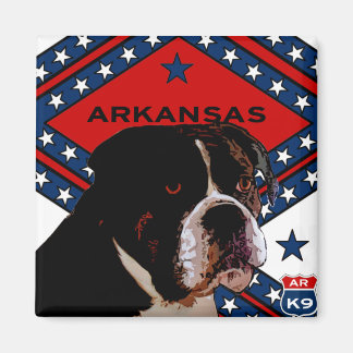 Aimant Arkansas Boxer