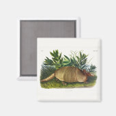 Aimant Armadillo à nez long, à neuf bandes, par Audubon (Recto/Verso)