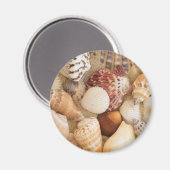Aimant Arrangement de coquillage (Recto/Verso)