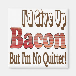 Aimant Arrêteur de Bacon