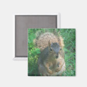 aimant arrière brouillard (Recto/Verso)