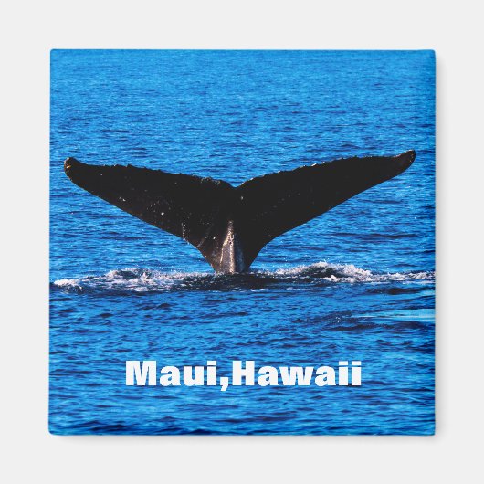 Aimant arrière de baleine à bosse de Maui personna (Devant)
