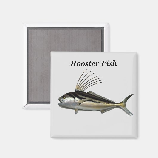 Aimant Arrière - plan de coq (Recto/Verso)