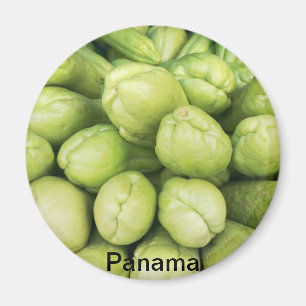 Aimant Arrière - plan de sechium edule organique de chok