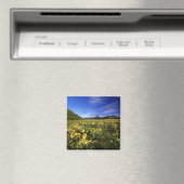 Aimant Arrowleaf balsomroot couvre la prairie avec (In Situ (Lave-vaisselle))