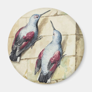 Aimant Art à l'aquarelle d'oiseau vintage rouge et gris