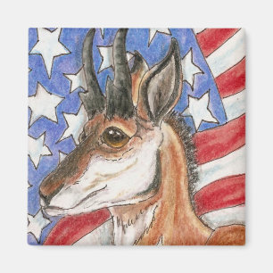 Aimant Art americana de faune d'antilope de Pronghorn