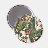 Aimant Art ancien d'oiseau de Audubon Perruche de Carolin (Recto/Verso)