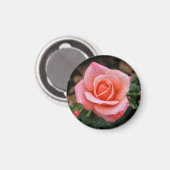 Aimant Art botanique romantique Rose Imprimer (Recto/Verso)