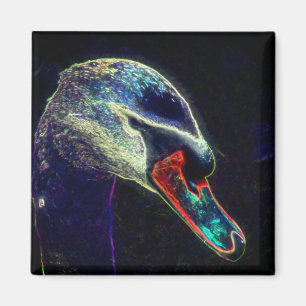 Aimant Art de nature abstrait de cygne royal