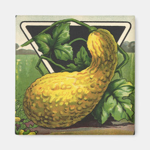 Aimant Art d'étiquette de paquet de graines vintage Courg