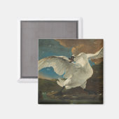 Aimant Art du cygne Asselijn (Recto/Verso)