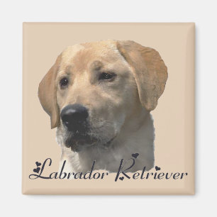 Aimant Art jaune de laboratoire de cadeaux de labrador