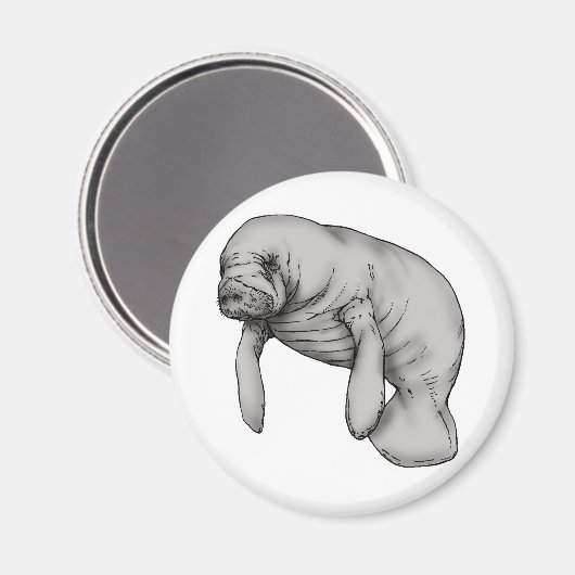 Aimant art manatee (Recto/Verso)