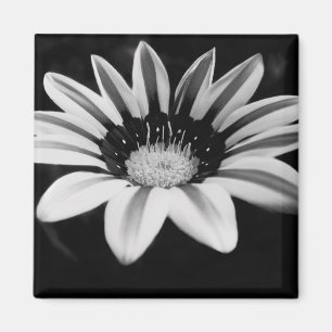Aimant Art monochrome floral