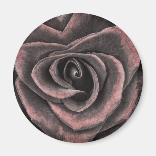 Aimant Art Rose vintage violet foncé (Devant)