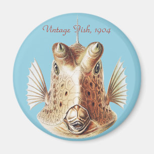 Aimant Art vintage de la vache marine dorée d'Ernst Haeck