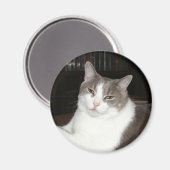 Aimant Artémis (Recto/Verso)