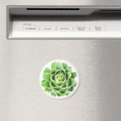 Aimant Artichoke (In Situ (Lave-vaisselle))