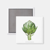 Aimant Artichoke du Globe sur un Arrière - plan blanc cou (Recto/Verso)
