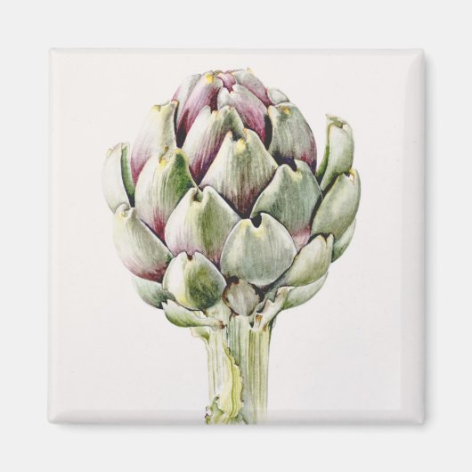 Aimant Artichoke Study 1993 (Devant)