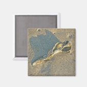 Aimant Articles de cabillaud de coquille Wave-Washed (Recto/Verso)