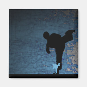 Aimant arts martiaux : shadowstance