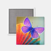 Aimant Artsy Papillon magnétique (Recto/Verso)