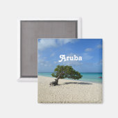 Aimant Aruba Divi Divi Tree (Recto/Verso)