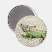 Aimant Aruba Green Iguana (Recto/Verso)