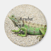 Aimant Aruba Green Iguana (Devant)