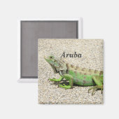 Aimant Aruba Green Iguana (Recto/Verso)