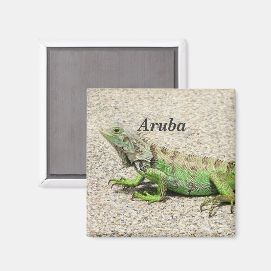 Aimant Aruba Green Iguana (Recto/Verso)