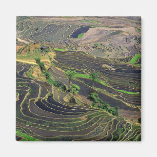 Aimant Asie, Chine, Yunnan, Honghe. Rizières près de
