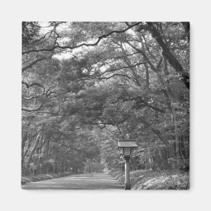 Aimant Asie, Japon, Tokyo, terrains du sanctuaire Meiji,