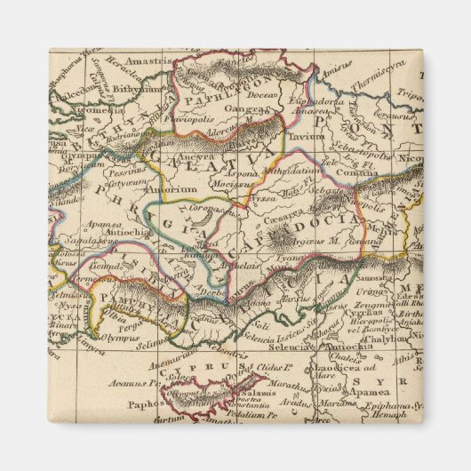 Aimant Asie mineure (Devant)