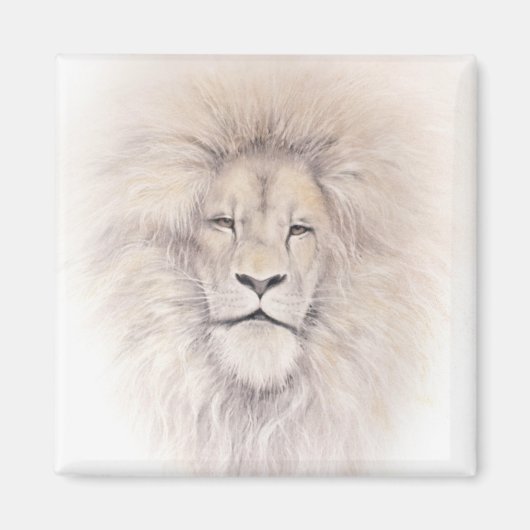 Aimant Aslan (Devant)