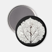 Aimant Aspen Feuille Squelette 1 (Recto/Verso)