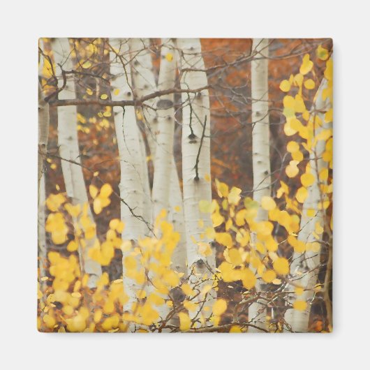Aimant Aspens d'automne (Devant)
