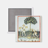 Aimant Asperges Pickers, 13ème siècle (Recto/Verso)