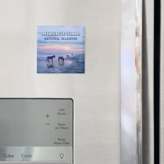 Aimant Assateague Island National Seashore Horaires Vinta (In situ (réfrigérateur))